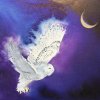 SNOWY OWL AT MIDNIGHT