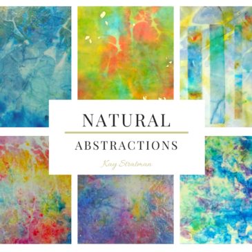 Natural Abstractions exhibit at the Art Association Gallery