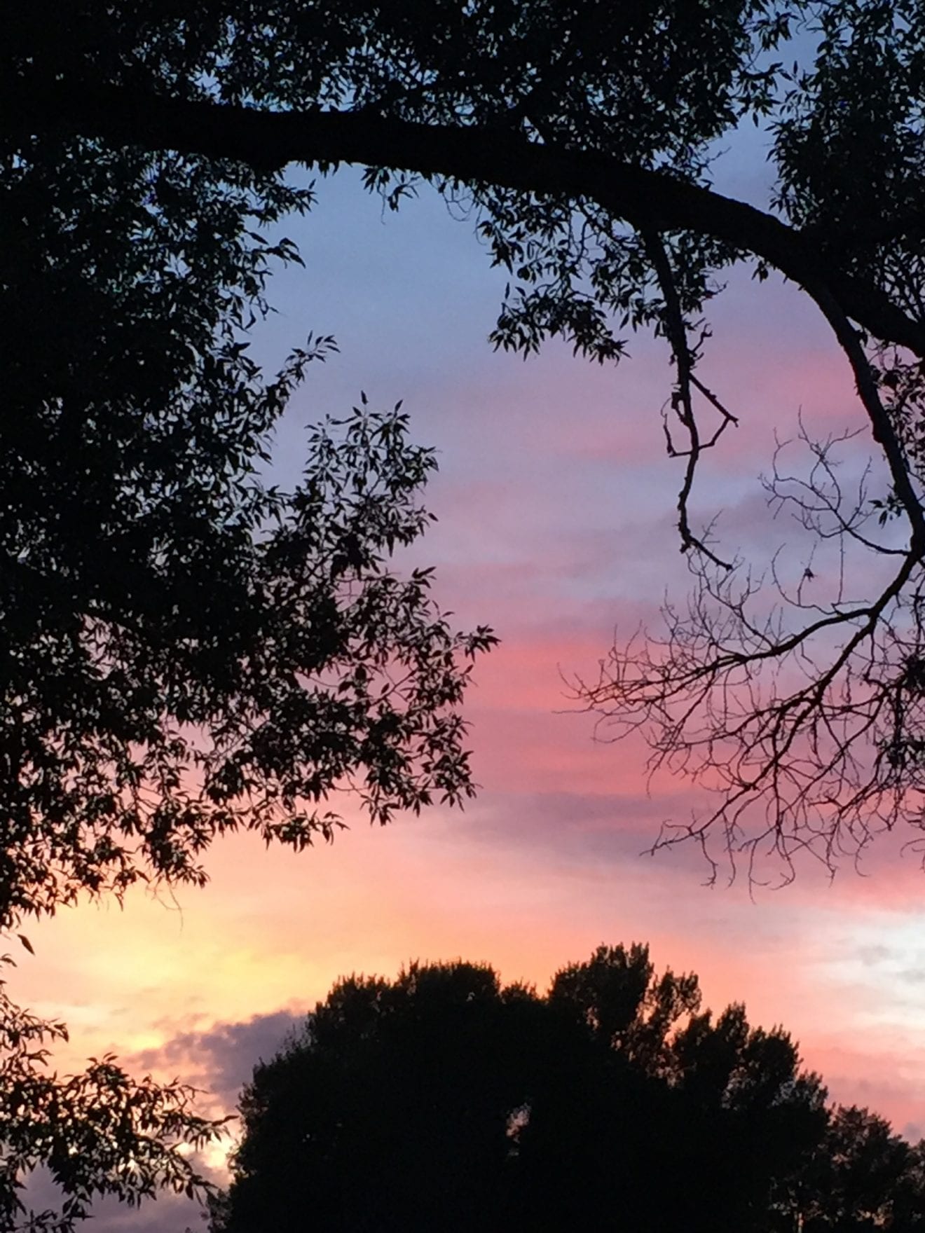 sunset backyard