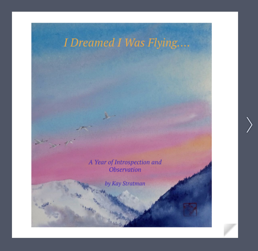 I Dreamed I Was Flying Flipbook